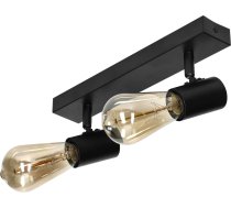 RIO SP 2, sienas un griestu gaismeklis, E27 maks. 2x60 W, IP20, melns