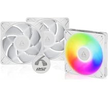 ARCTIC P14 Pro A-RGB (komplektā 3) - jaudīgs augstākās klases datora ventilators, 140 mm PWM korpusa ventilators, Y kabeļa sadalītājs, korpusa ventilators, 400-2500 RPM, 0 RPM