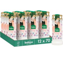 Bolsius kapu sveces – baltas ar motīvu – 12 gab. iepakojumā – baloni – ilgstoša degšana – bēru un piemiņas sveces – tīra degšana – bez palmu eļļas