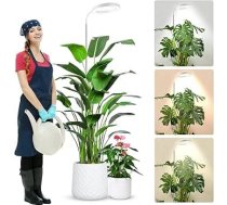 wolezek Augu lampa LED pilna spektra, 80 LED 6500 K augšanas gaisma, 160 cm liela augšanas lampa, 3 krāsu augu gaisma ar 360° gūžas kaklu, 6/12/16H taimeris, 5 spilgtuma režīmi, regulējams augstums, balta krāsa