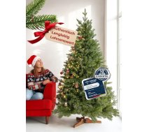 Menz Premium mākslīgā Ziemassvētku egle zaļa 180 cm - reālistiska mākslīgā Ziemassvētku egle ar 850 uzgaļiem un statīvu ģimenes svinībām, ugunsdroša, atkārtoti lietojama gadiem ilgi