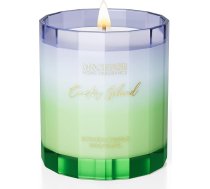 M&SENSE aromātiskā stikla svece | Aromātiskās sveces „Cactus Island“ | 300 g, degšanas ilgums 60 stundas | Sojas svece ar tīru degšanu – dāvana sievietēm