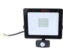 Tayg 30W LED projektors ar sensoru