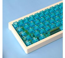 114 taustiņu caurspīdīgu taustiņu vāciņu komplekts Cherry Profile Blue Keycaps Set Fit for Cherry Mx Switches Mechanical Keyboard