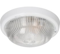 7070T-ALFA, gaismeklis, 100 W, E27, IP44, caurspīdīgs stikla difuzors