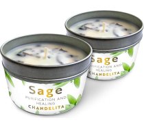 Smaržīga svece ar tīru salvijas aromātu un salvijas lapām – svētībai, mājas enerģijai un garīgajai attīrīšanai – smaržīgas sojas vaska sveces – vegāna svece – aromterapijas svece – čakru dziedināšanai (2 gab. iepakojumā)