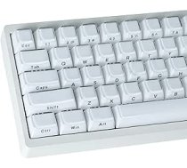 JakeTsai Crystal Jelly Keycaps, PBT Keycap 113 taustiņi, OEM profila Double Shot White Translucent Side Printed Custom Keycaps priekš Cherry MX Switch ASIN/ISO Layout Mechanical Keyboard