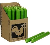 Zaļās sveces - augstākās kvalitātes [Ražots Vācijā] - 10 nepārtraukti krāsotas sveces - 22 mm diametrs, 18 cm augstums - sveču sēta "Gailis" - ilgs degšanas laiks - 8+ stundas (zaļš)