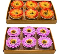 Dekohelden24 12 tējas sveču komplekts Gerberas formā, galda svece, Gerberas svece, ziedu svece dzeltenā un violetā krāsā, katras sveces izmēri 4 x 3 x 4 cm