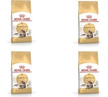 Royal Canin kaķu barība Maine Coon 31 sausā barība, 400 g, 4 iepakojumu komplekts