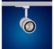 Mextronic 12 W silti balta LED 3 fāžu gaisma sliežu ceļam