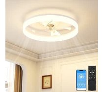 Griestu ventilatori ar apgaismojumu, 50 cm lampa ar ventilatoru, 3000 K - 6500 K dimmable griestu ventilators ar apgaismojumu, LED griestu ventilatora lampa guļamistabai, 6 ātrumi, taimeris, klusa, balts