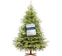 FAIRYTREES Mākslīgā Ziemassvētku egle, 180 cm, Nordmann egle, ekskluzīva, 100% polietilēna, koka statīvs, ražota ES, mākslīgā Ziemassvētku egle ar reālistiskiem injekcijas formēšanas elementiem