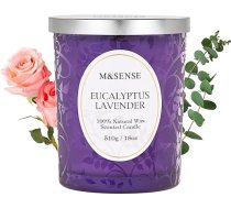 M&SENSE Aromatizētas sveces, lielas, 510 g, eikalipta un lavandas aromāta sveces stiklā, 100 stundu ilgs degšanas laiks, krekinga dakts sveces, koka dakts sveces, dabīgas vegānu sojas vaska aromātiskās sveces vīriešiem un sievietēm