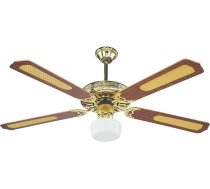 DCG TP-RMA8-6N22 koka griestu ventilators ar tālvadības pulti