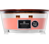 DECO EXPRESS aromātiskā svece stiklā ar 2 krekinga daktīm, elegantas aromātiskās sveces, līdz 50 stundām ilgs degšanas laiks, dāvana guļamistabas dekorēšanai Valentīna un Mātes dienai (grauzdēti zefīri)