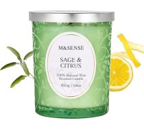 M&SENSE Aromatizēta svece, liela, 510 g, salvijas citrusaugļu aromāts, 100 stundu ilgs degšanas laiks, krekinga dakts sveces, koka dakts sveces, dabīgas vegānu sojas vaska aromātiskās sveces vīriešiem un sievietēm