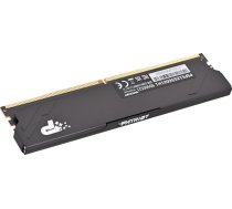Patriot premium black ddr5 12gb 5600mhz radiators 1rank