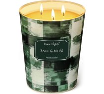 Home Lights Aromatizētas sveces stiklā Lielas 960 g sojas sveces 3 daktu bezdūmu 130 stundu pilnībā degošas aromātiskās sveces Kokosu sala