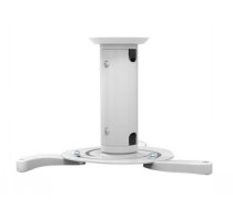 NEWSTAR PROJECTOR CEILING MOUNT (HEIGHT: 8-15 CM) 15 KG WHITE|BEAMER-C80WHITE