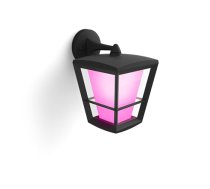 Philips Hue WCA Econic Outdoor Wall Lantern | 15 W | 2000-6500 Hue White Colour Ambiance|8718696170588