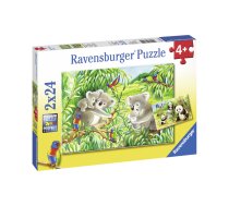 Ravensburger Puzzle 2x24 pc Smagas koalas un pandas