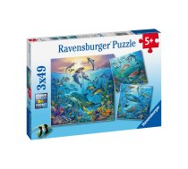 Ravensburger Puzzle 3x49 pc Ocean Life