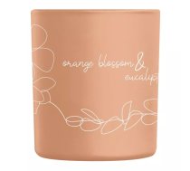 # Aroma Arom. svece 160g, Combo, Orange with Eucalyptus | AR10420 | 5904224104207