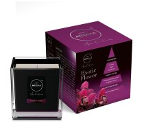 # Aroma Aromātiskā svece Black Series 155g, Exotic Flower | AR83510 | 5902846835103