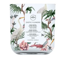 # Aroma aromātiskā svece WILD, Exotic Flower 150g. | AR11766 | 5904224117665