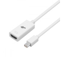 TB MINI DP M - HDMI F   Adapter