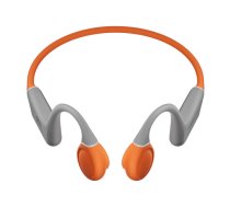 QCY Earphones  T25 (grey+ orange)  (T25 grey-orange)