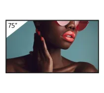 Monitor Sony FW-75BZ40L | FW-75BZ40L | 4548736150119