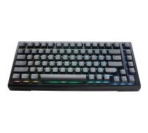 Ducky Tinker 75 Gaming Keyboard, RGB, black - MX-Blue | GATA-2529 | 4711394392676 | PKTI2383IST-CCDEPDOECLAAW1