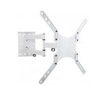 Holder for LCD/LED 23-55inch regulation white | ICA-PLB-136MW | 8054529023851