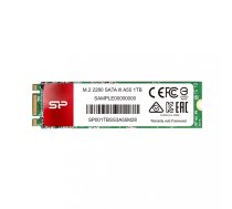 SSD SIP A55 1TB M.2 560/530 MB/s | SP001TBSS3A55M28 | 4713436121763 | DGSIPWKT01A5528