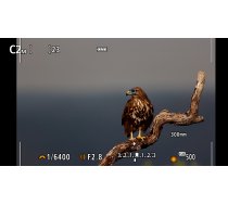 Canon EOS R7 + RF-S 18-150mm IS STM MILC 32,5 MP