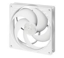 ARCTIC P14 PWM PST 14 cm Balto Ventiliatorius