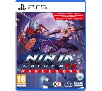 Silverlit Ninja Gaiden: Ragebound