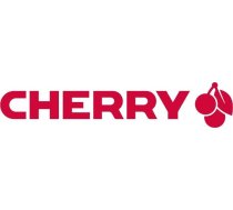 Cherry DW 9100 SLIM keyboard Mouse included Universal RF Wireless + Bluetooth QWERTZ German Silver