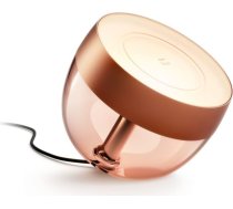 Philips Hue | Hue Iris Portable Lamp, Copper Special Edition | Copper/brass | Portable lamp