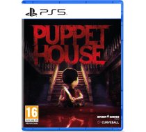 Curveball Puppet House