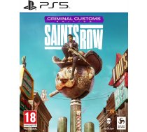 Deep Silver Saints Row Criminal Customs Edition