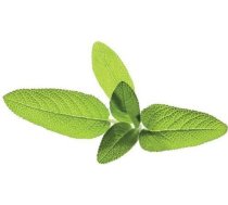Click & Grow Smart Garden refill Sage 3pcs