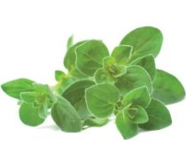 Click & Grow Click and Grow - Smart Garden Refill 3-pack Oregano