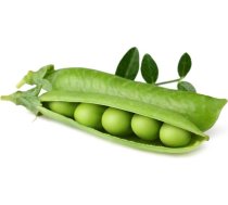 Click & Grow Click and Grow - Smart Garden Refill 3-pack Dwarf Pea