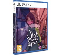 Tesura Games What Comes After