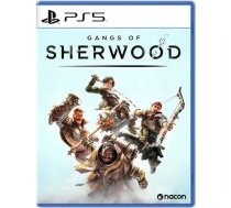 Nacon Gangs of Sherwood
