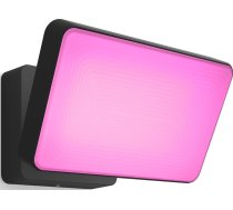 Philips Hue White and colour ambience Discover Outdoor Floodlight