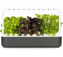 Click & Grow Click and Grow - Smart Garden 9 Starter kit (Color: Dark Gray) (SG9S8UNI)